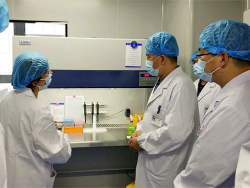 我市四家核酸檢測實驗室全部建成投用，日最高檢測能力近五千人份